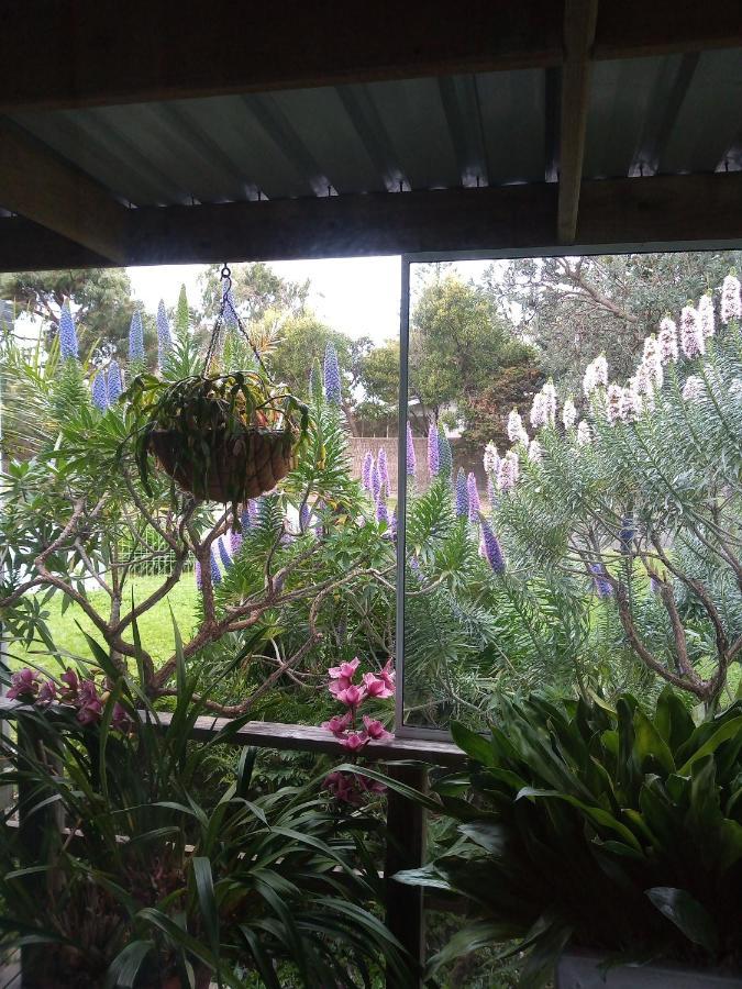 Lakes Entrance Waterfront Cottages With King Beds Exterior foto