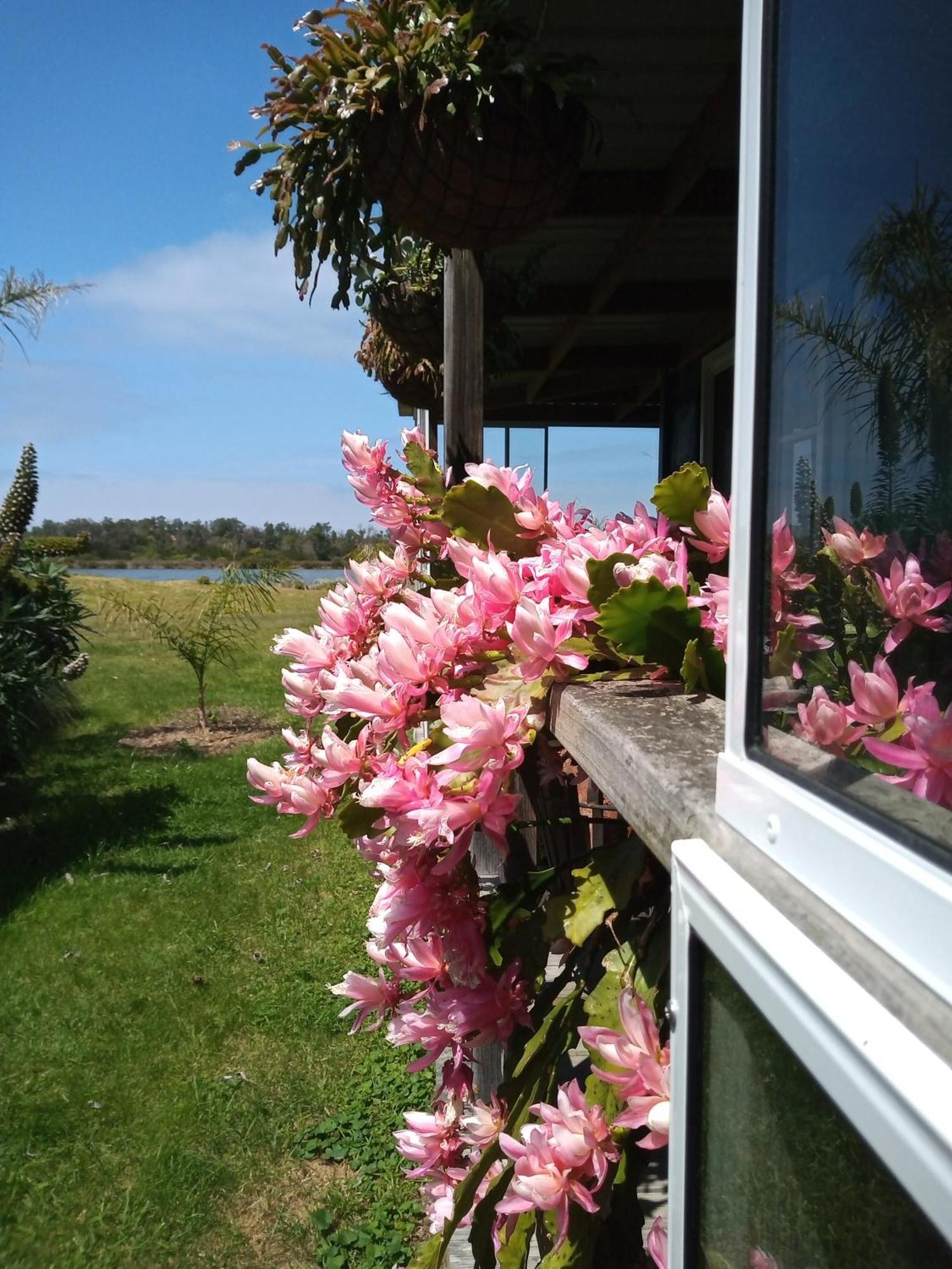 Lakes Entrance Waterfront Cottages With King Beds Exterior foto