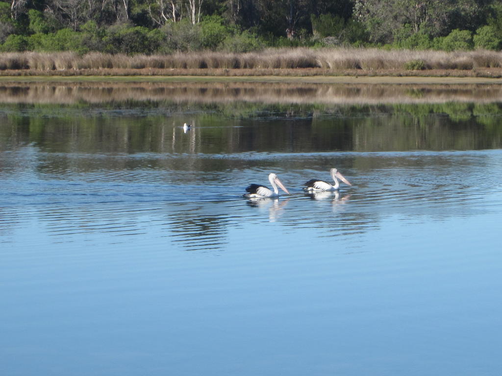 Lakes Entrance Waterfront Cottages With King Beds Exterior foto